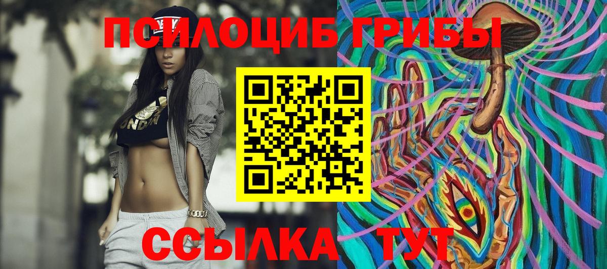 Богданович  Галлюциногенные грибы GOLDEN TEACHER  Псилоцибиновые грибы Magic Shrooms  Вход с VPN 